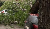 Impactantes imágenes del temporal en Pehuajó: autos dañados, techos volados y postes caídos