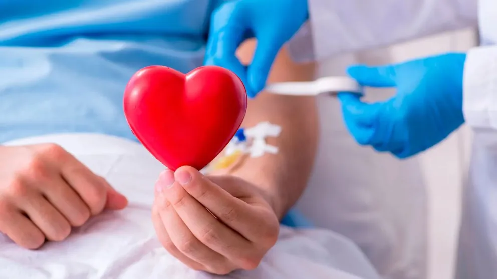 Día del Donante de Médula Ósea: por qué es importante donar y en qué consiste el método