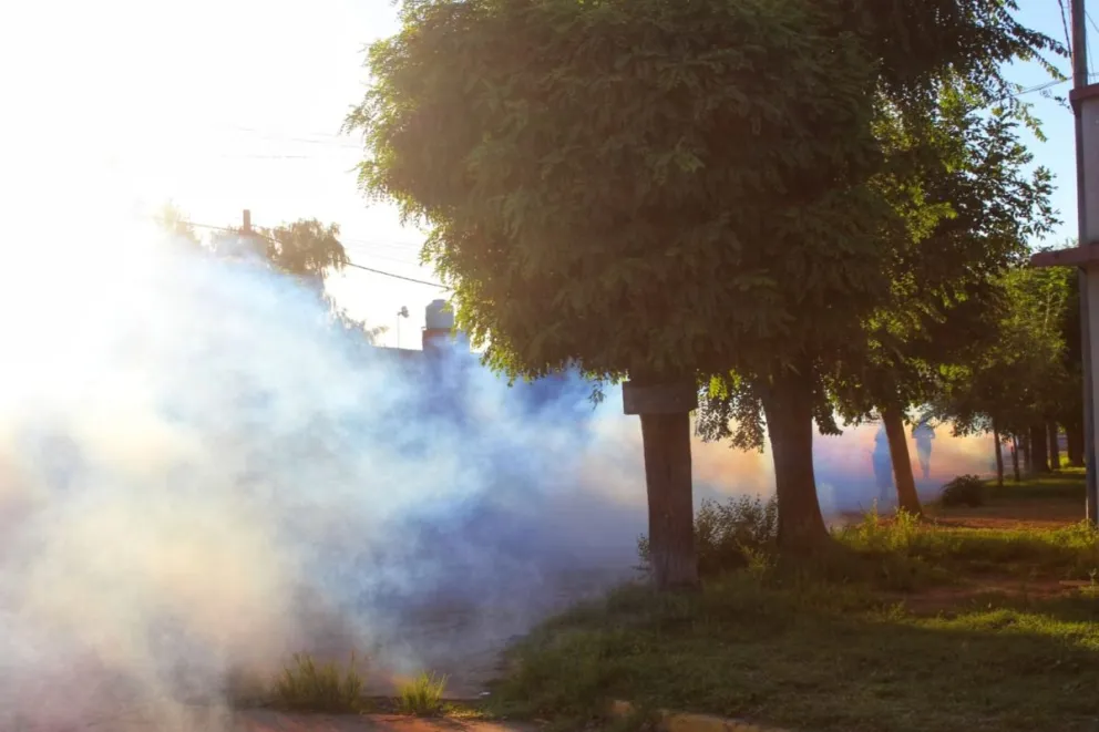 Descartan circulación del mosquito que transmite dengue en Bolívar: qué son las larvitrampas y cómo funcionan