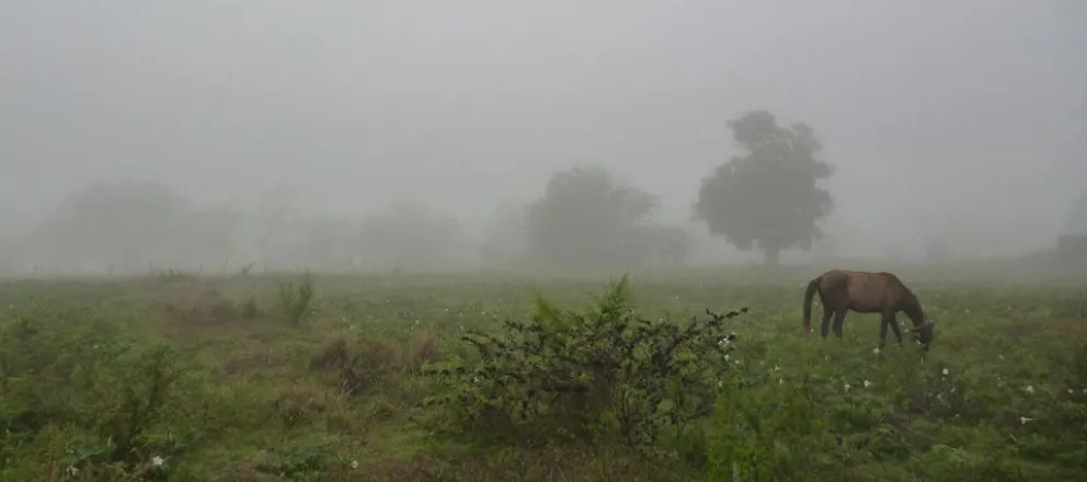 Trigo y soja: aseguran que las lluvias impulsan el rendimiento en el interior de la provincia