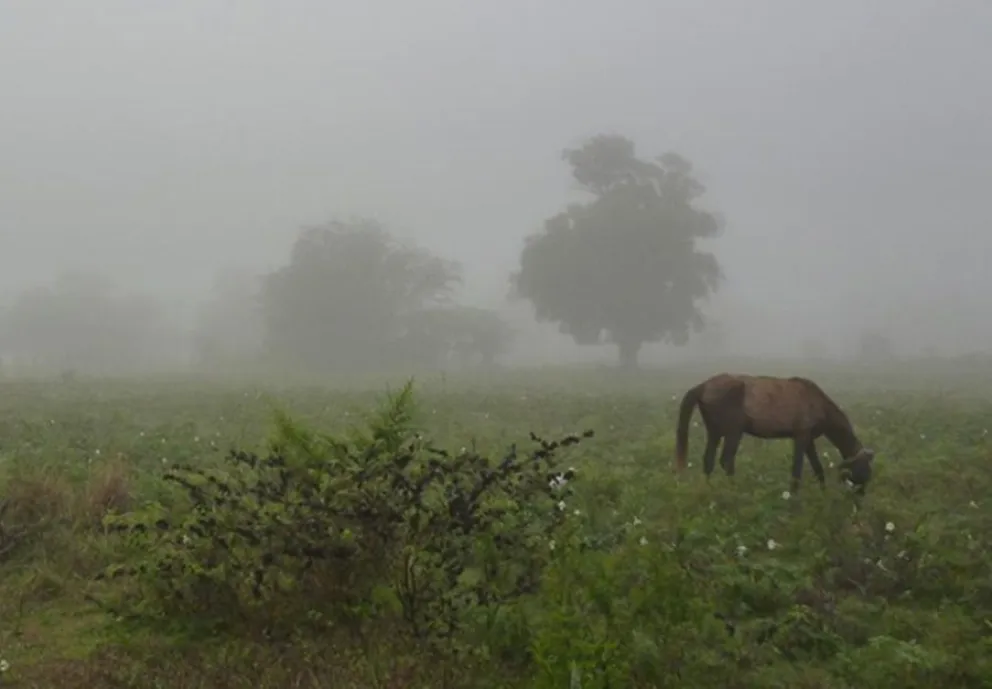 Pronóstico trimestral de precipitaciones: cuánto puede llover entre abril y junio en Bolívar