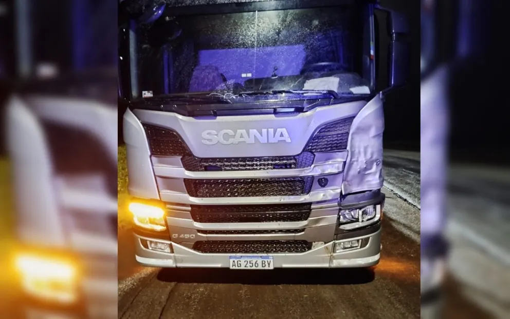 Un camión impactó con un equino en la ruta 65 a la altura de Bolívar