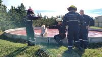 Bomberos rescataron a un caballo que cayó en un tanque de agua del parque industrial