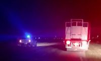 Un camión colisionó con un equino en Ruta 226, a pocos kilómetros de Bolívar