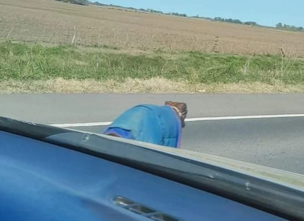 Un confuso episodio se originó por la foto de un perro que fue visto en la ruta 65: “Condenan sin saber”