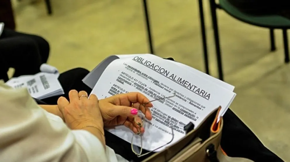 El Senado aprobó una ley para prohibir candidaturas y cargos públicos a deudores alimentarios