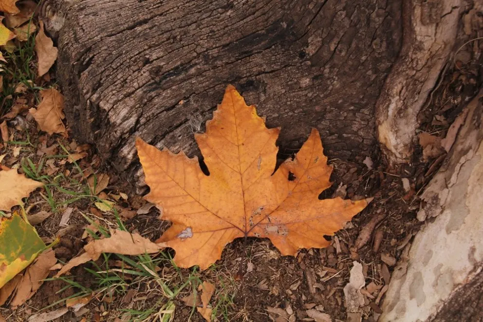 Junio es para valientes