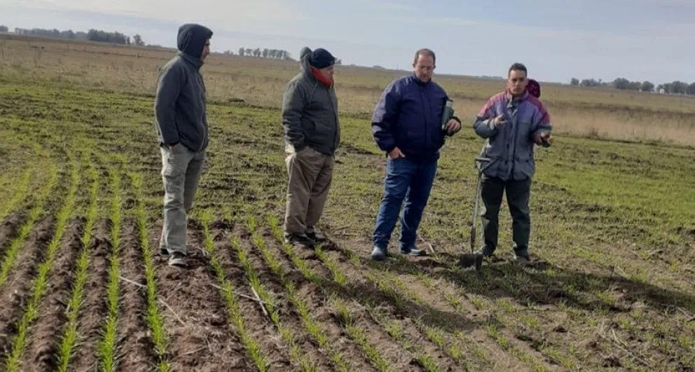 Organizan un conversatorio sobre agroecología y cooperativismo para celebrar el día del medioambiente