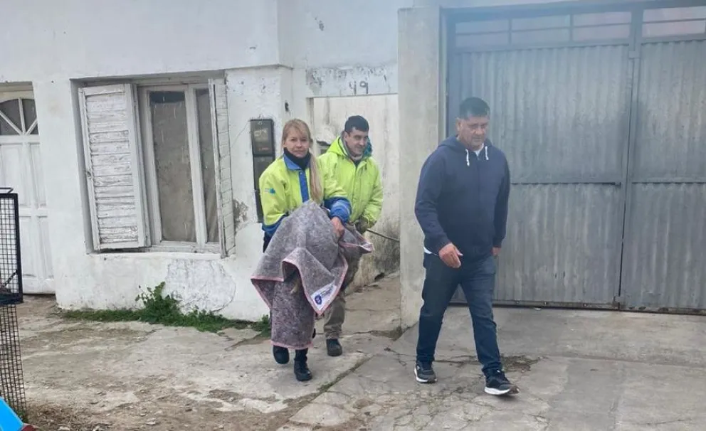 Lograron atrapar a un zorro que andaba suelto en la planta urbana de Bolívar