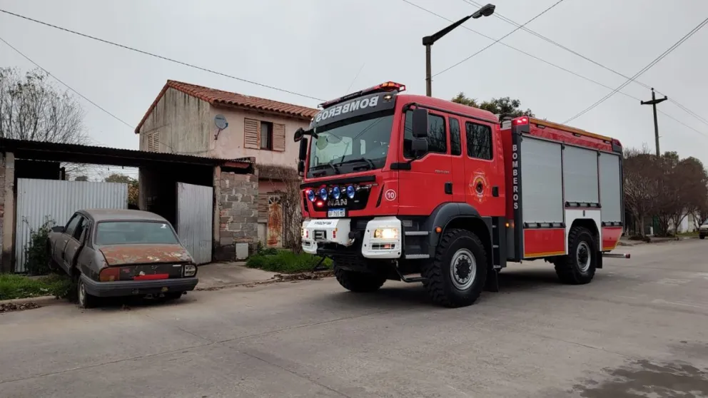 Bomberos rescataron a un felino de una planta en barrio Cooperativa