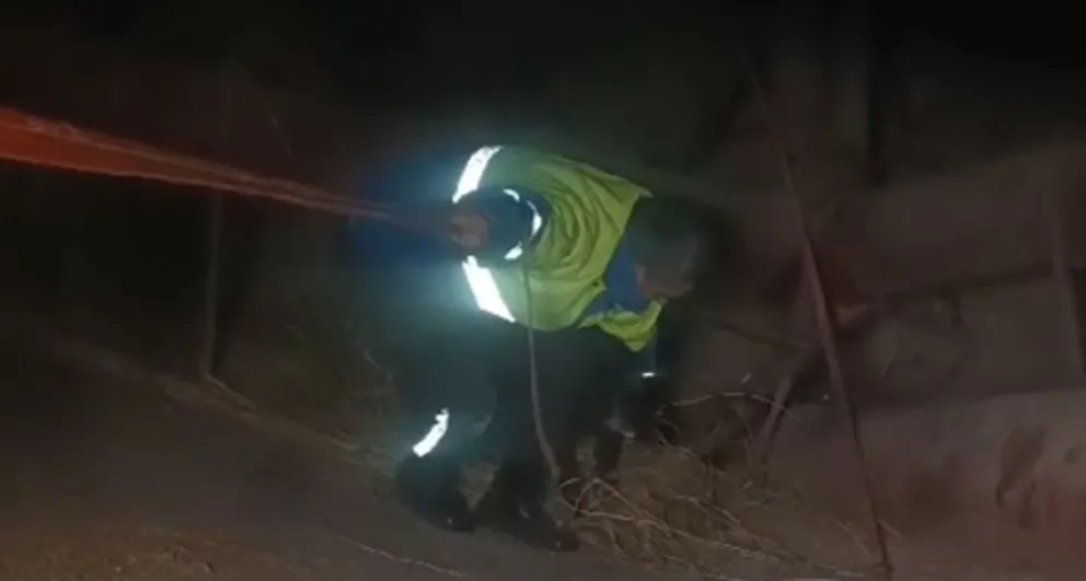 Agentes de Defensa Civil rescataron a dos perritos que estaban atrapados dentro de un silo