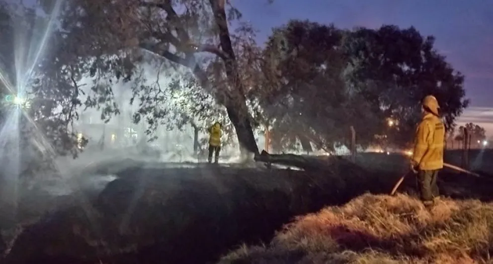 Bomberos controlaron un incendio de un árbol y parte de la banquina de avenida Coliqueo