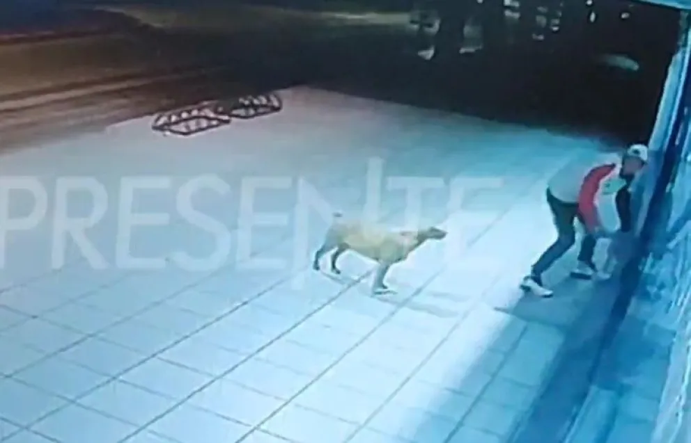 [VIDEO] Así fue el robo a la sucursal de Casa Silvia: se llevó cinco celulares y lo atraparon