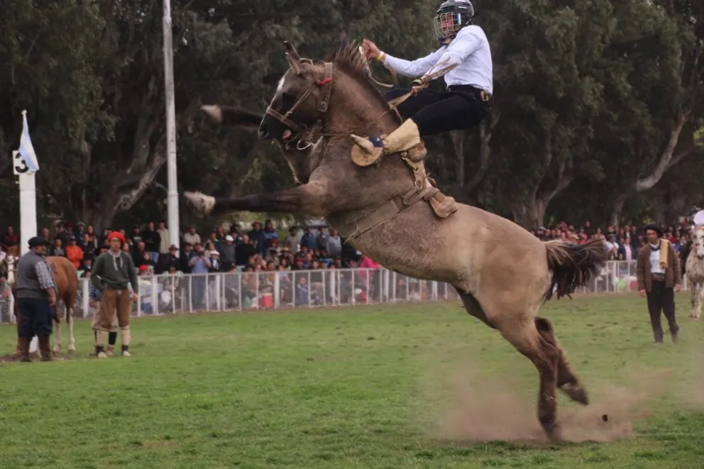 Así fue la jineteada en la Expo Rural 2023: ganadores, premios y cuál fue la mejor tropilla