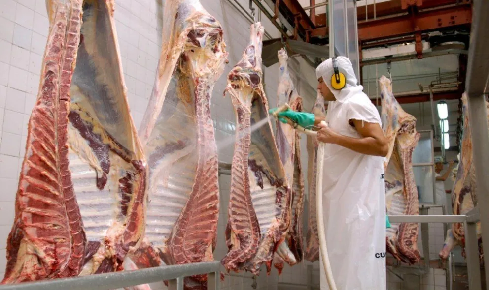 Carne vacuna: las exportaciones crecieron en agosto y el consumo interno sufre una histórica caída