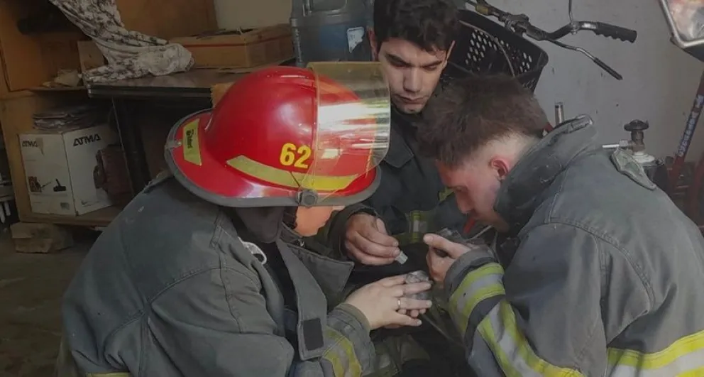 Lo más conmovedor que vas a ver hoy: bomberos de Bolívar salvan a gatitos de un incendio