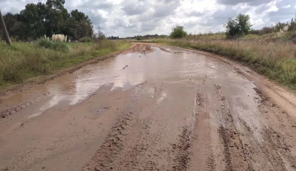 El Colegio de Ingenieros advirtió sobre las obras privadas en caminos rurales y pidió controles técnicos