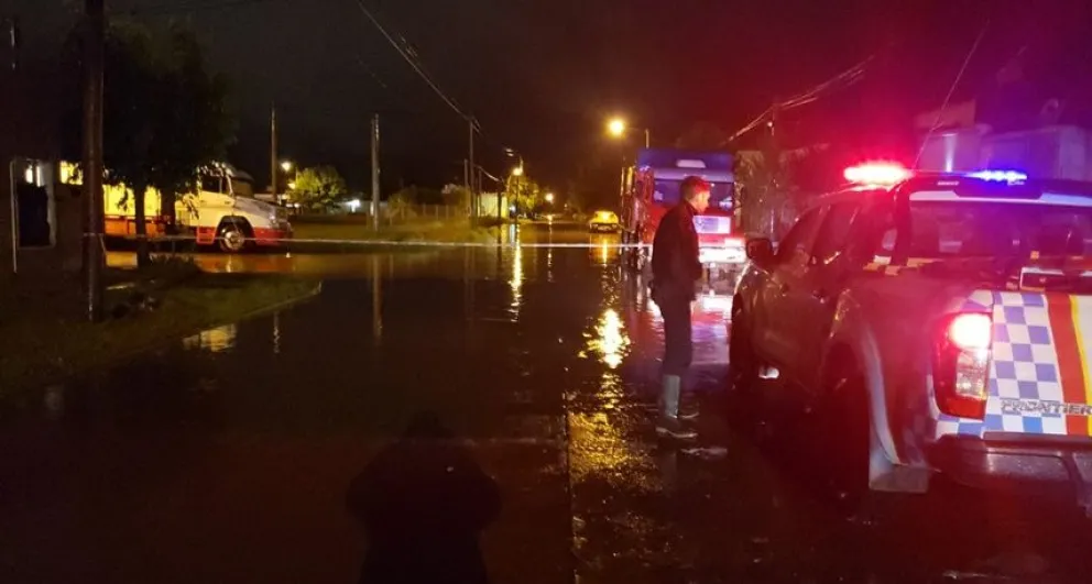 Ramas caídas y calles anegadas fueron las principales consecuencias de la tormenta en Bolívar