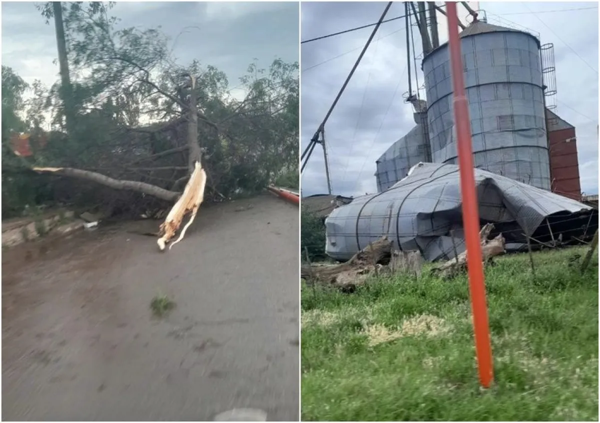 La tormenta causó daños en la zona: árboles caídos, voladura de techos ...