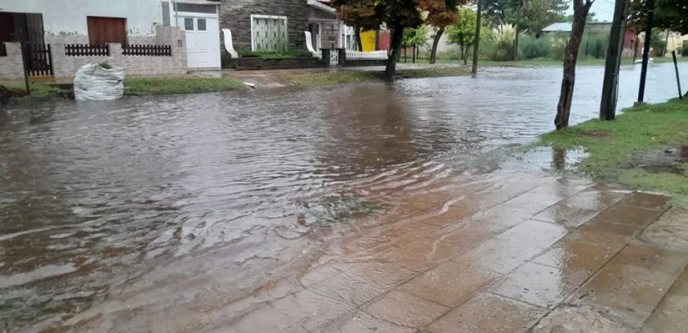 Fotos: Rivadavia on line