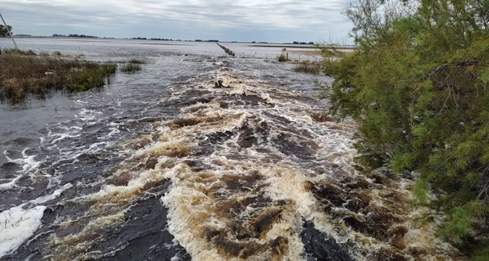 Foto de la Ruta Nacional 226 a la altura del kilómetro 390. Archivo Presente Noticias