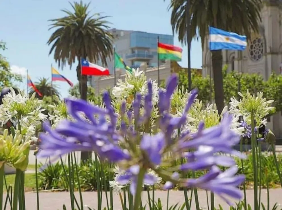 Fotografías: @charly _photography