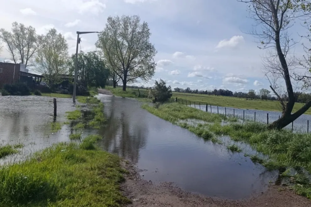 Vecinos enviaron sus imágenes a Presente para difundir su reclamo al municipio.