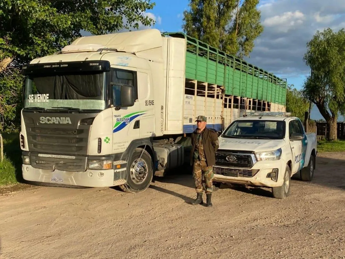 Investigan una presunta asociaci&oacute;n il&iacute;cita que comercializaba ganado vacuno con documentaci&oacute;n falsa