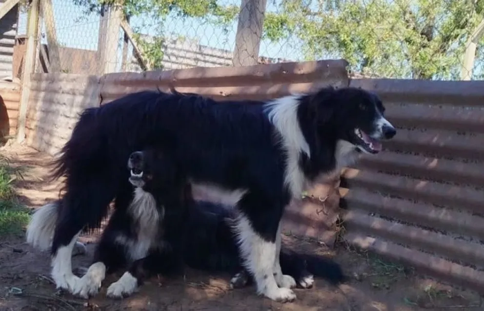 Fotografía de archivo.