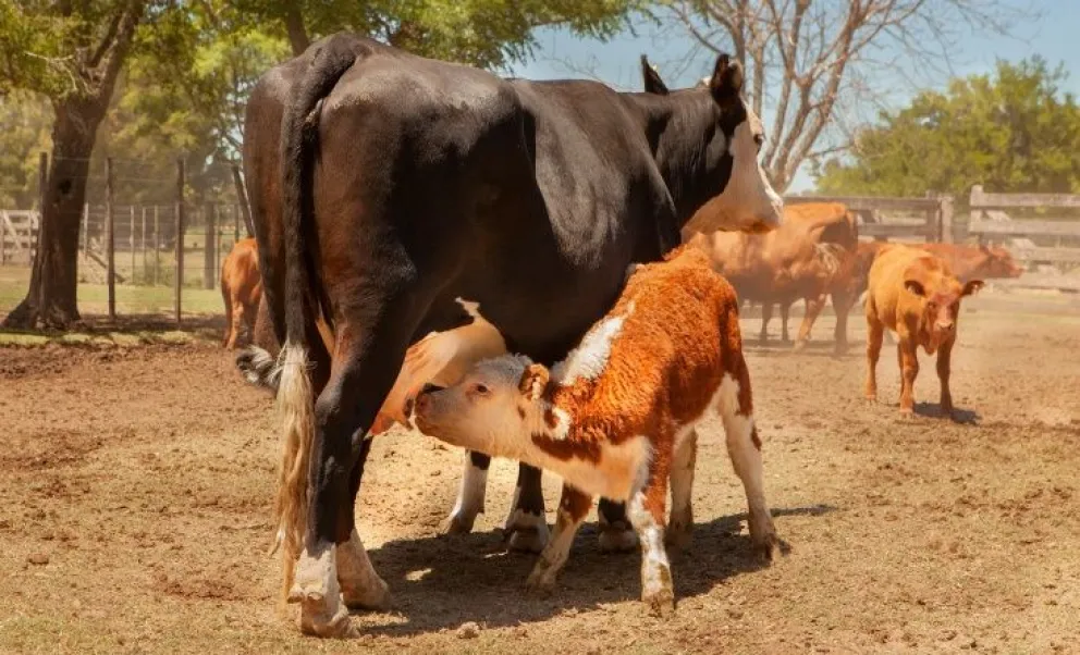 En la provincia de Buenos Aires entre el 2 y el 9 de marzo de 2026.