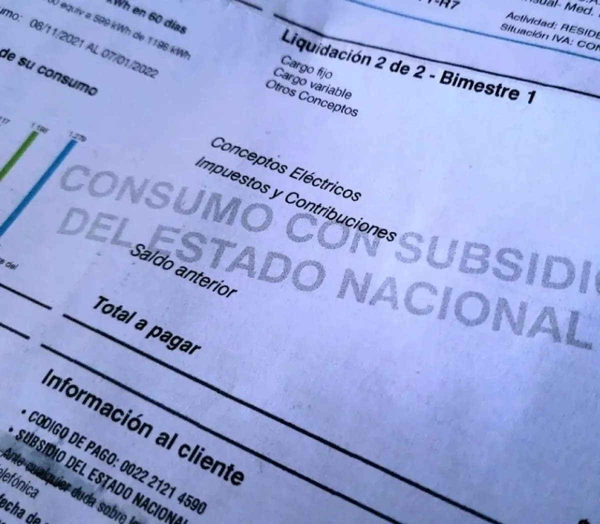 Subsidios a la luz y el gas en 2026: qué hogares quedarán excluidos del ...
