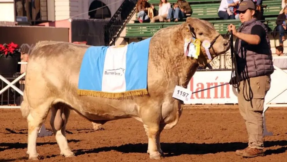 Rama, durante la exposición 2025 de Palermo. Foto: Diario La Nueva.