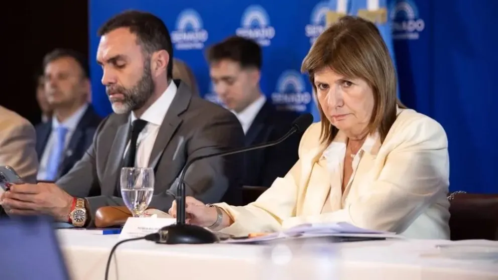 Patricia Bullrich, presidenta de bloque de senadores de La Libertad Avanza.