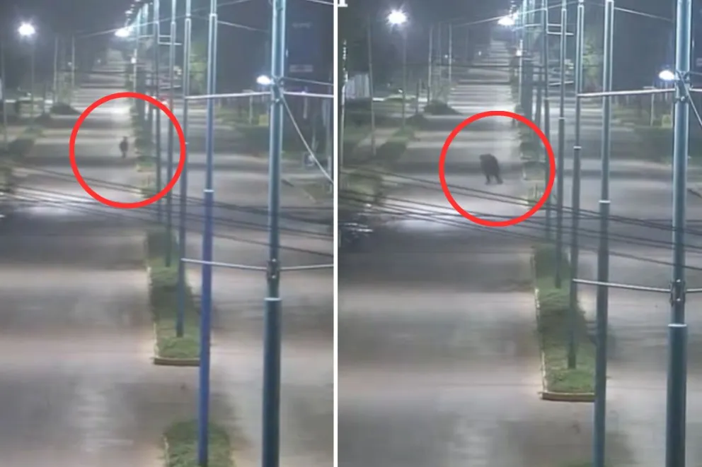 Imágenes captadas por el Centro de Monitoreo de Bolívar.