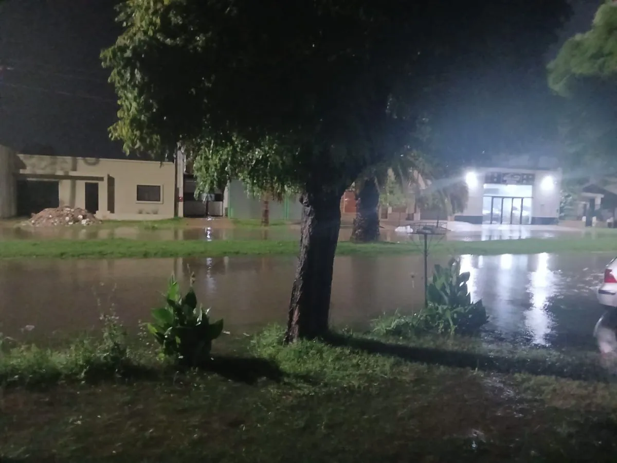 Lluvia ca&iacute;da en avenida Fabr&eacute;s Garcia de Bol&iacute;var.