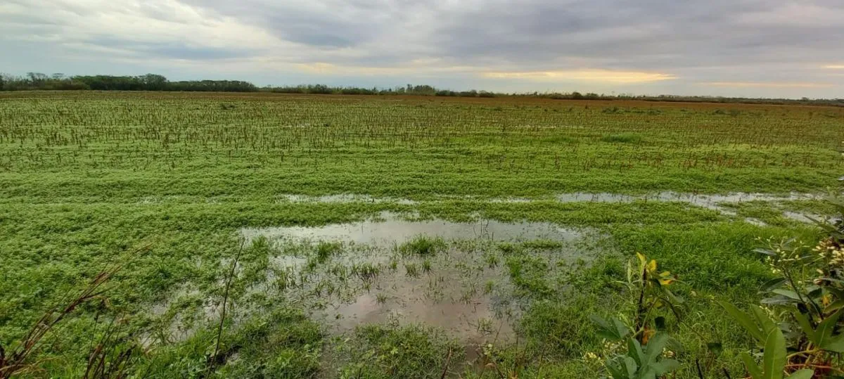 Alertan por posibles inundaciones en áreas bajas durante la primavera si se confirma un Niño fuerte