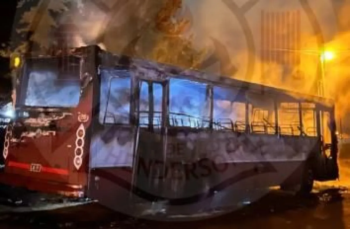 Ardió un colectivo en Henderson y los bomberos evitaron que el fuego se propagara