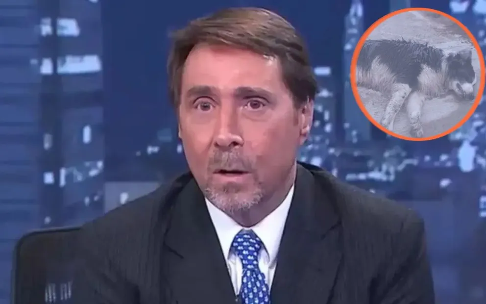 Eduardo Feinmann habló del caso que conmueve a Bolivar.