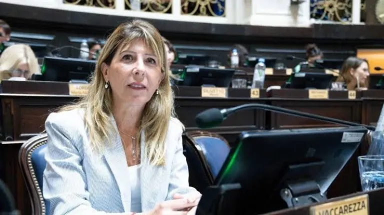 Silvina Vaccarezza explic&oacute; los cambios en la prioridad de paso de la Ley de Tr&aacute;nsito bonaerense.