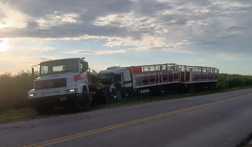 Un camión de Bellocq despistó en la Ruta 65 tras una maniobra para evitar una camioneta